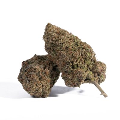 Dank Sinatra (AAA+)
