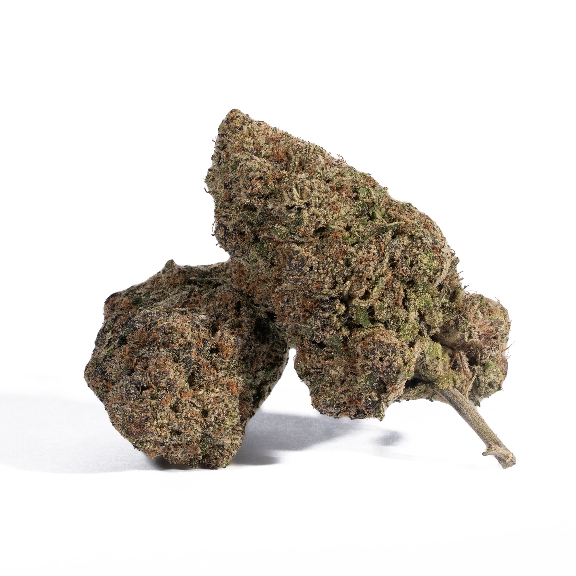 Dank Sinatra (AAA+)