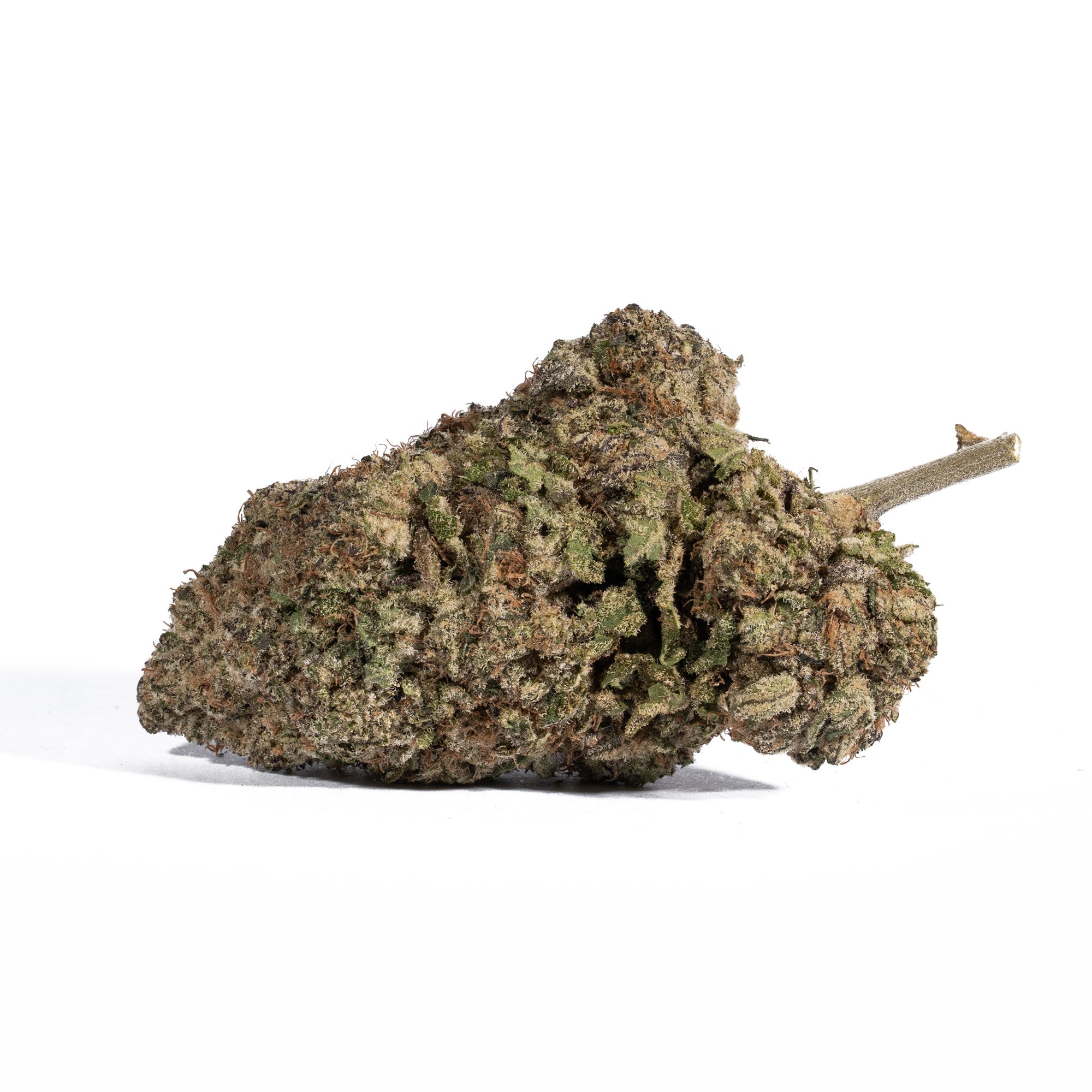 Dank Sinatra (AAA+) - Image 2