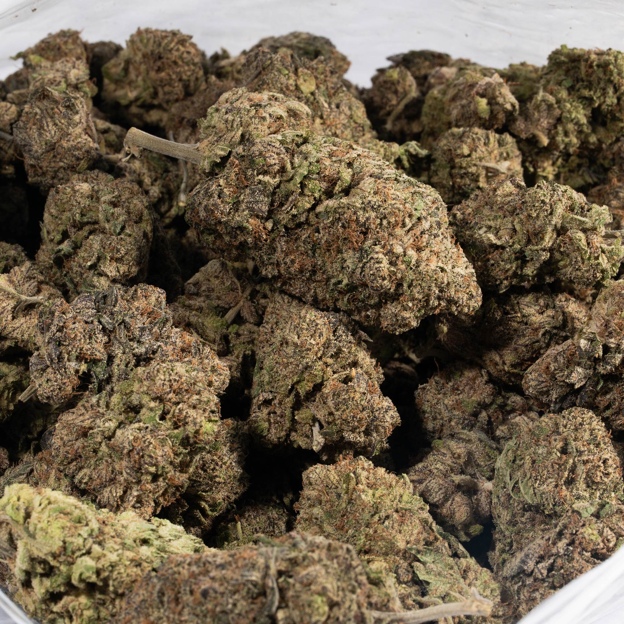 Dank Sinatra (AAA+) - Image 4