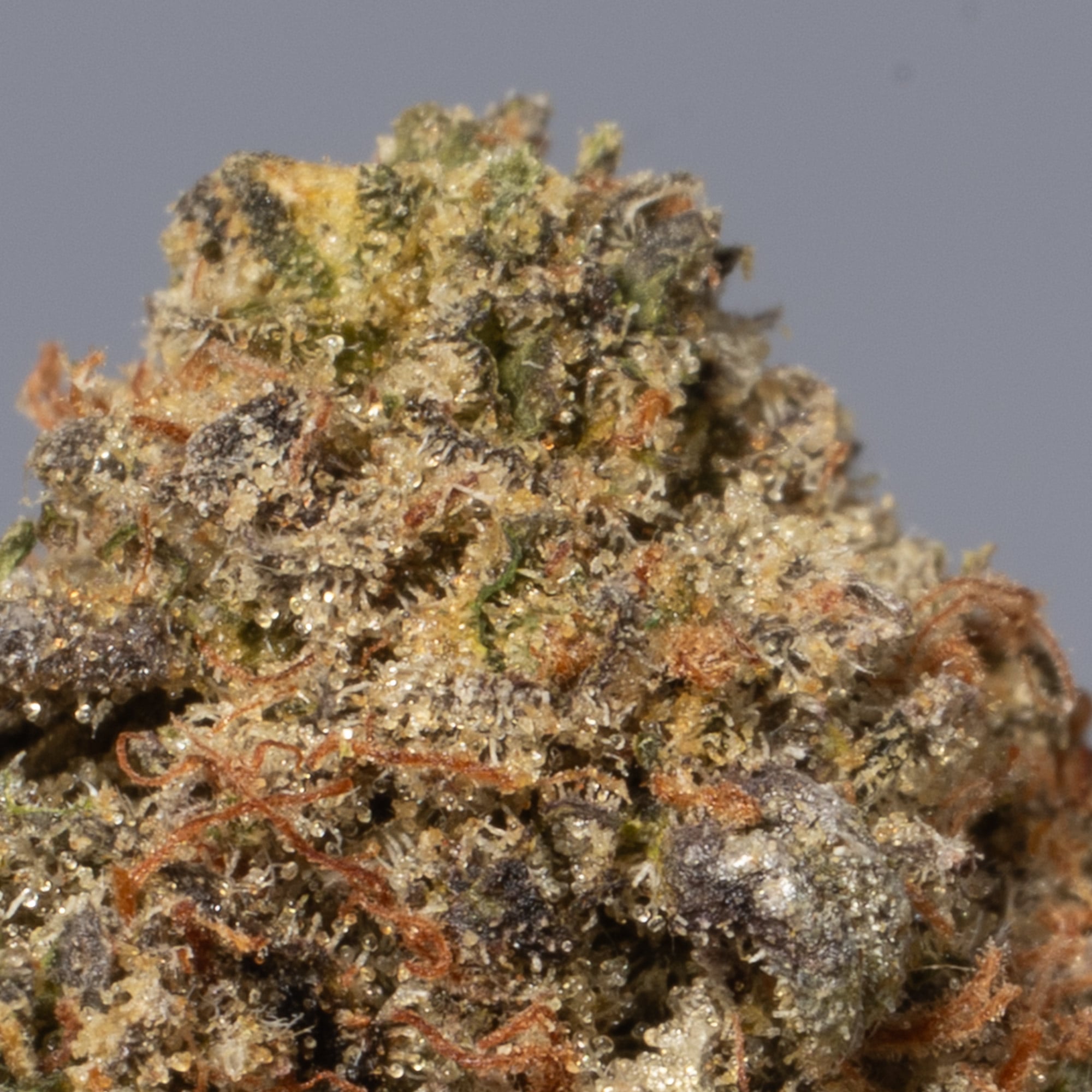 Dank Vader (AA+) - Image 5