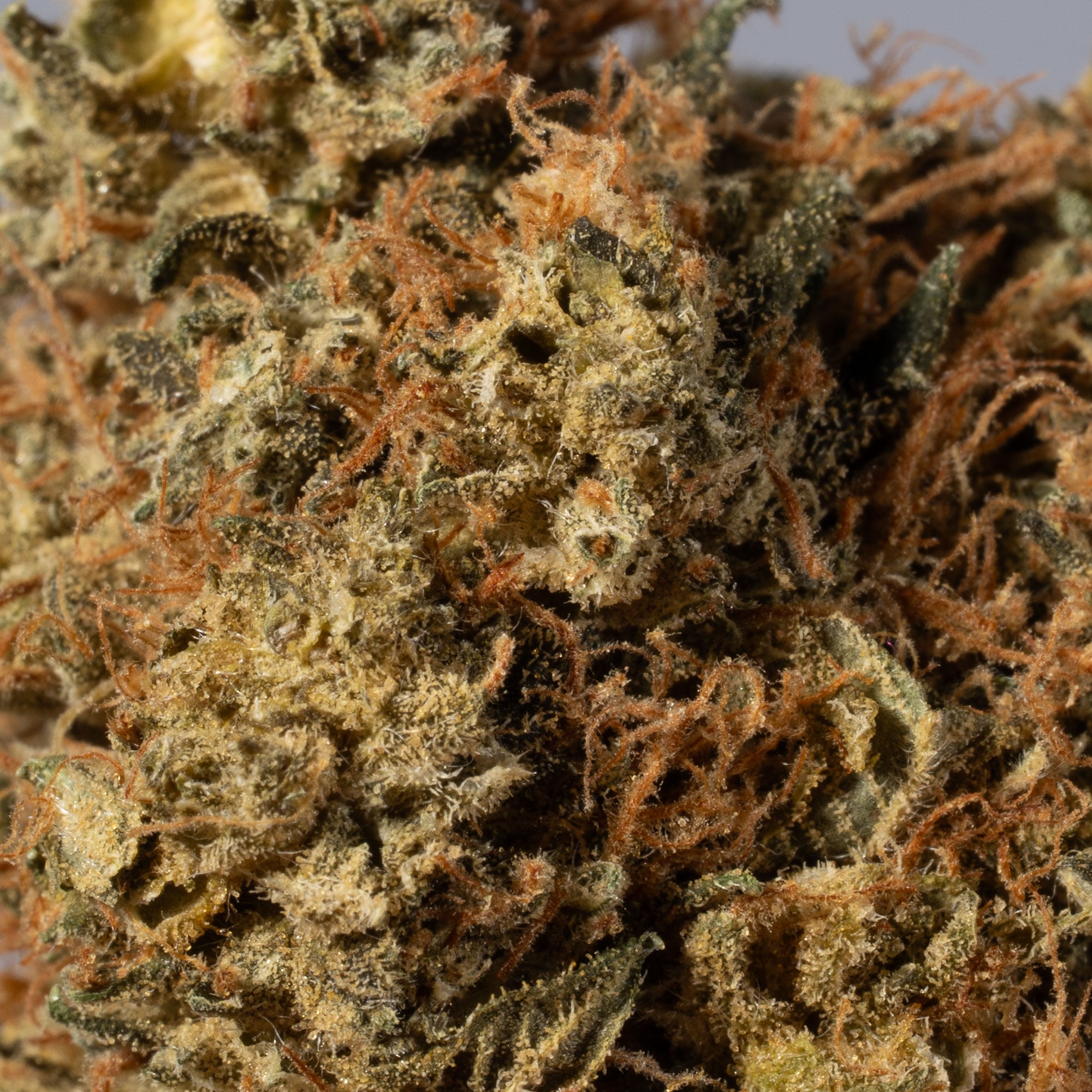 Death Bubba Smalls (AA) - Image 3
