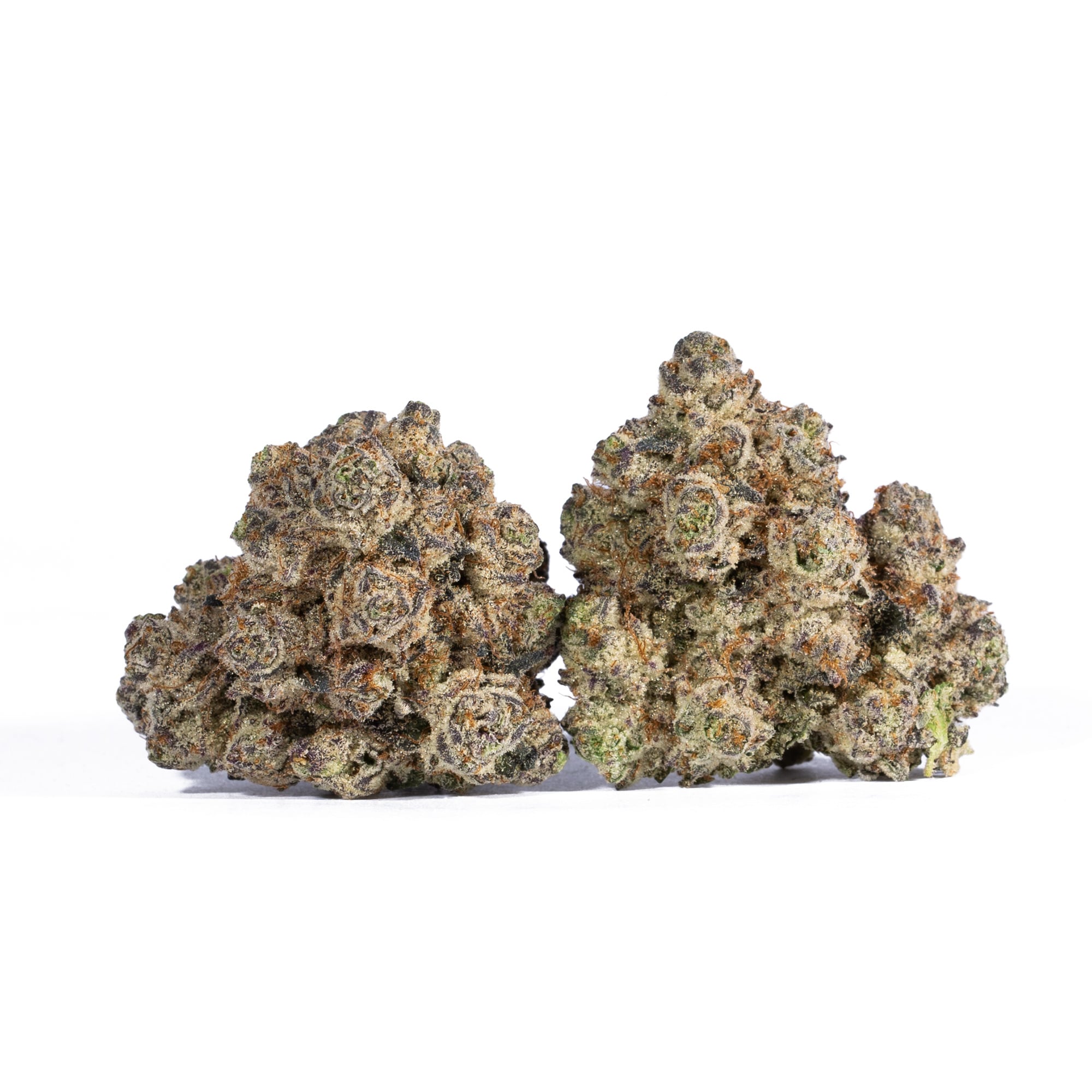 Gelato 41 (AAAA)