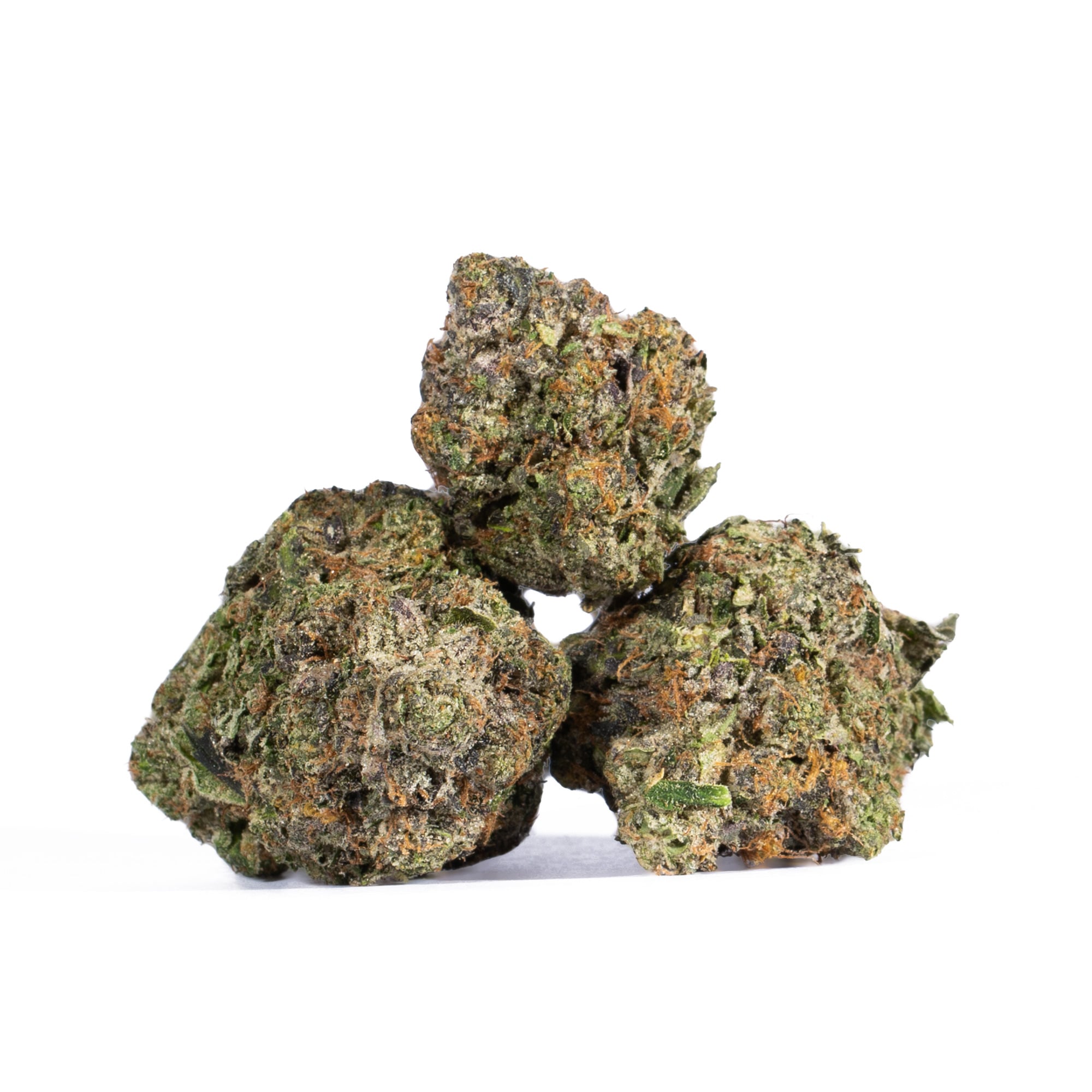 Master Jedi (AAAA) - Image 5