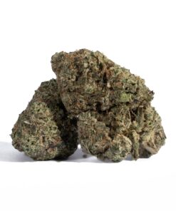 Grey God (AAA+)