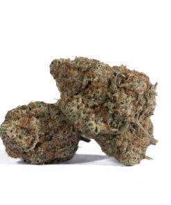 Grey Goose (AAA+)