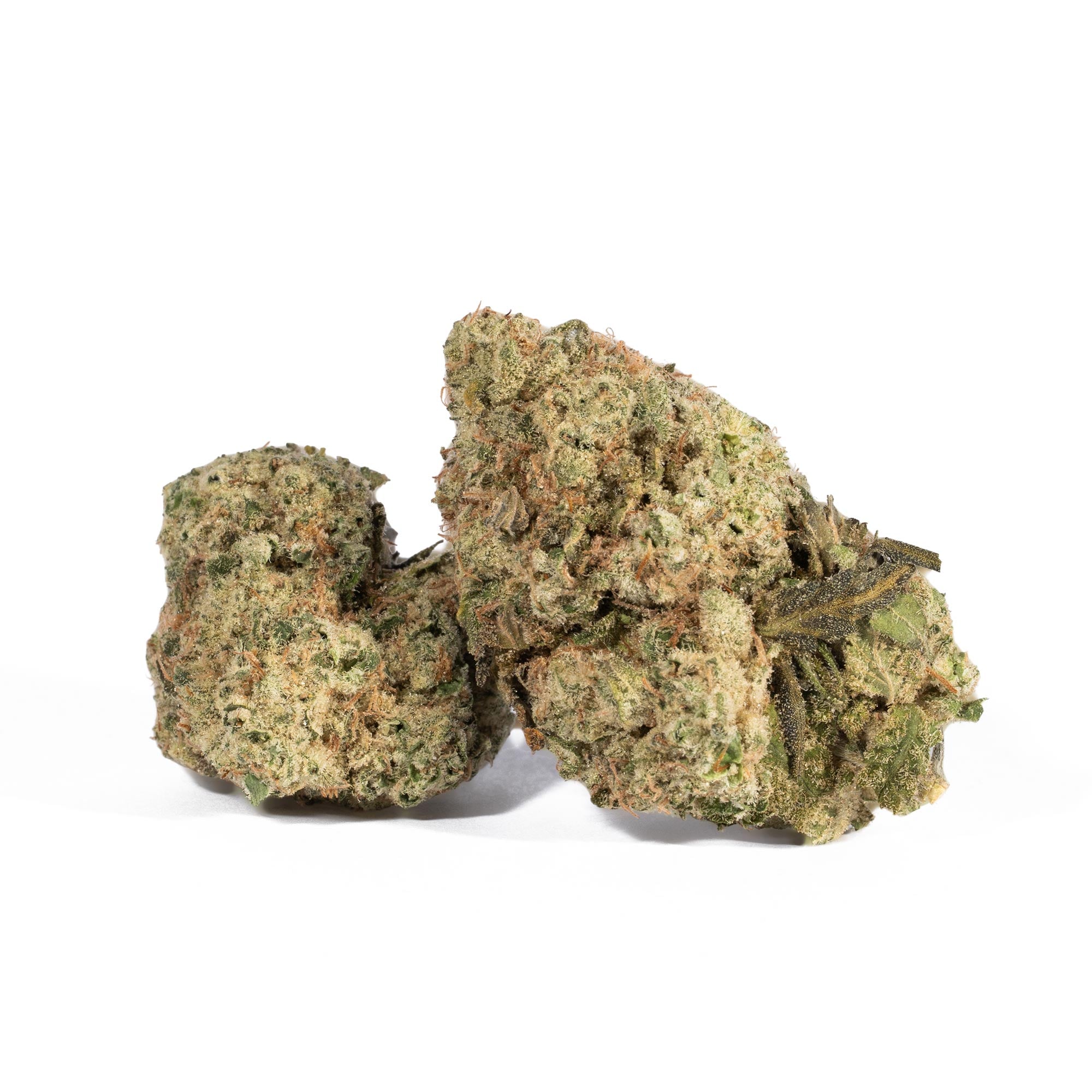 Jack Herer (AA+)