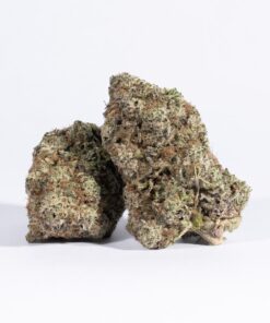 SFV OG (AAA+)