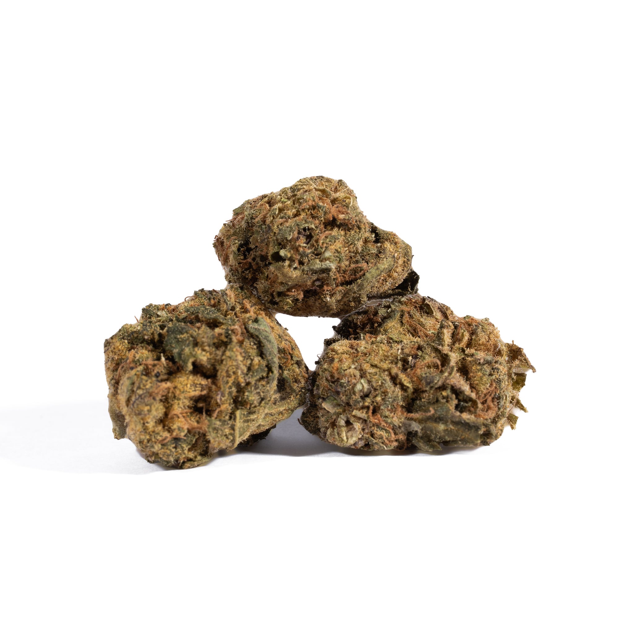 Shiva Skunk (A) - Image 2