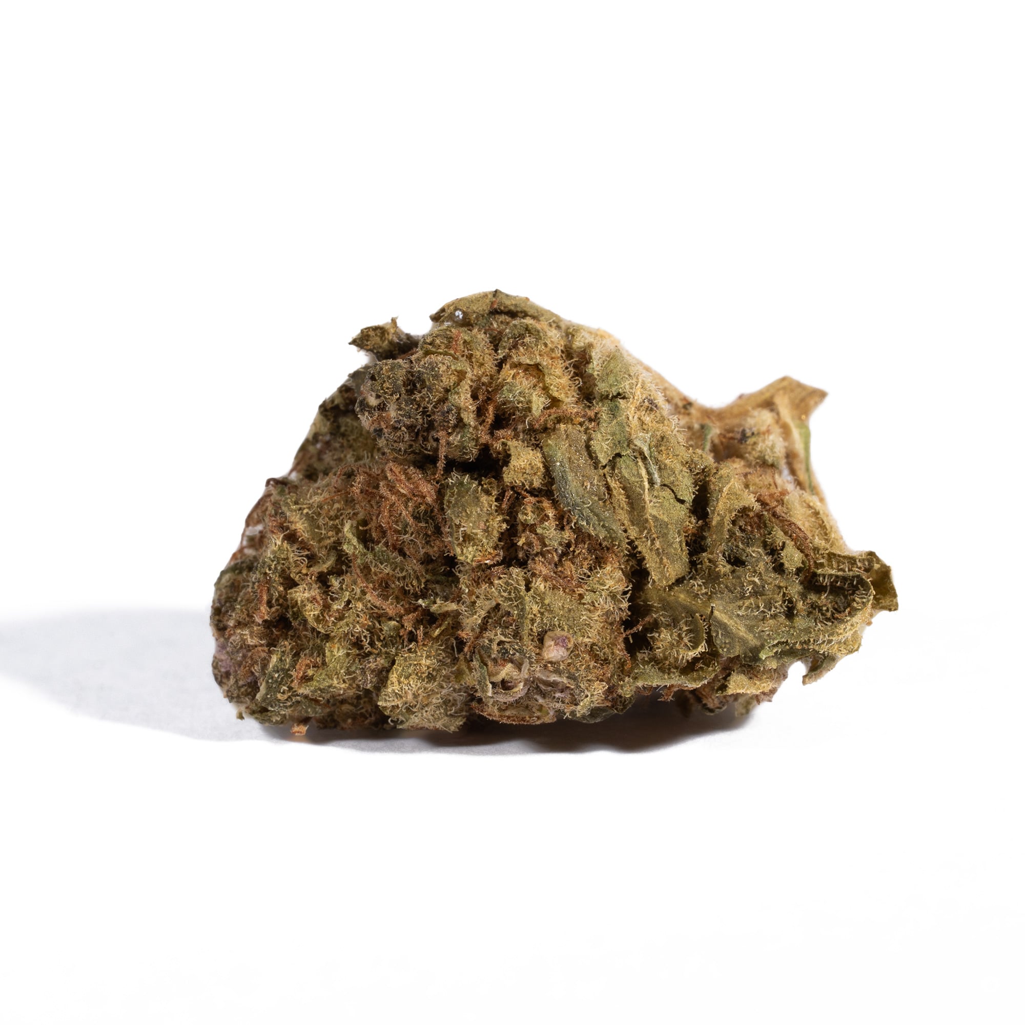 Shiva Skunk (A) - Image 3