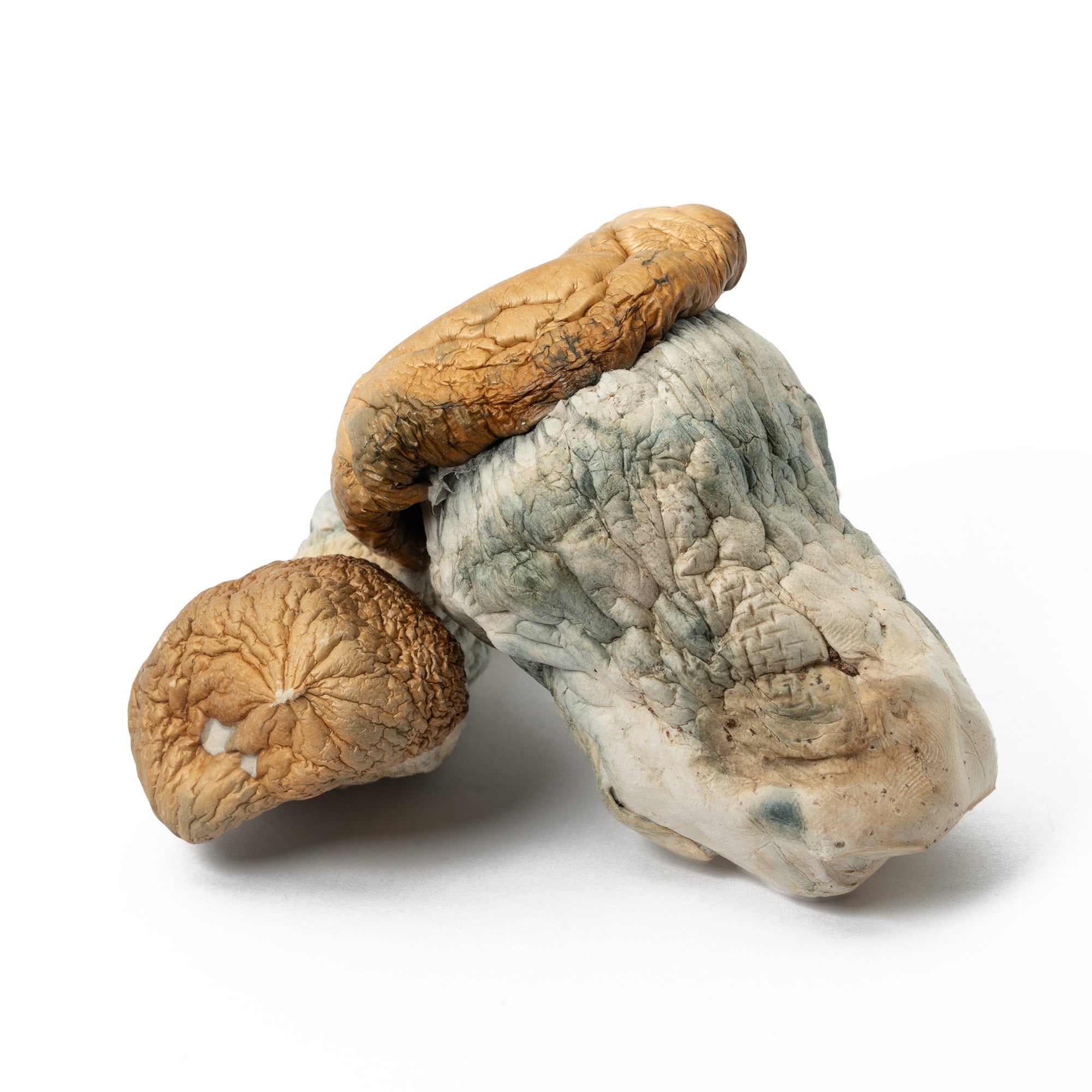 Squat Mak Mushrooms