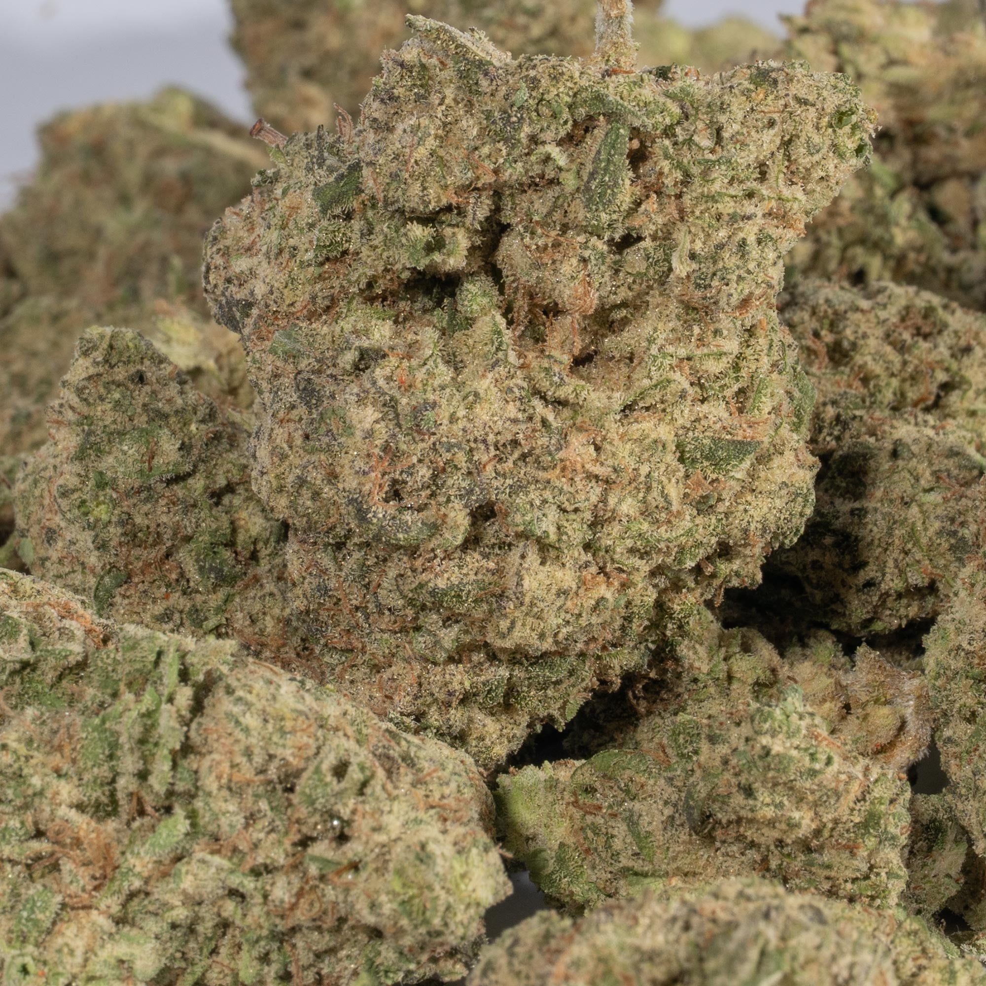 Super Lemon Haze (AAA) - Image 5