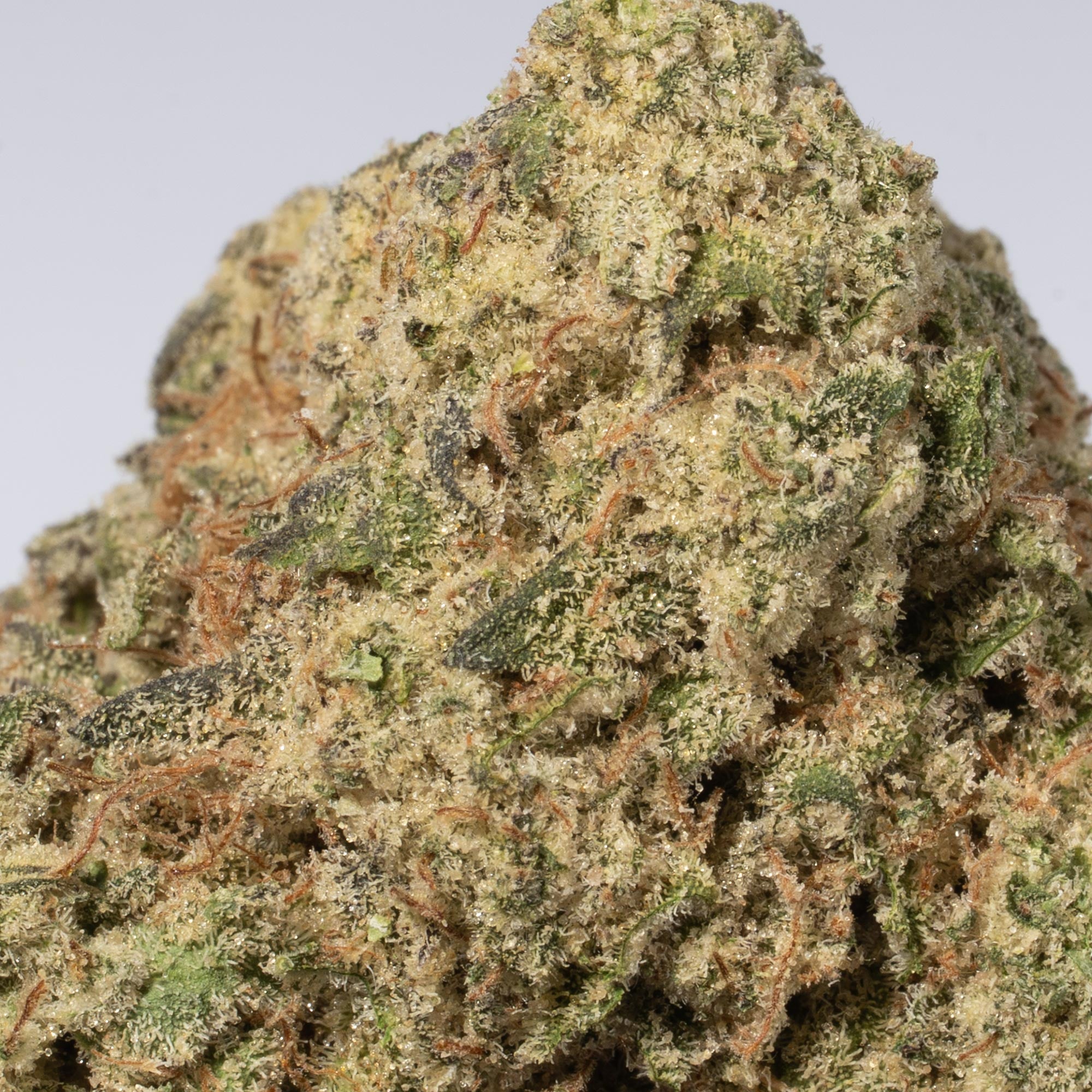 Super Lemon Haze (AAA) - Image 3
