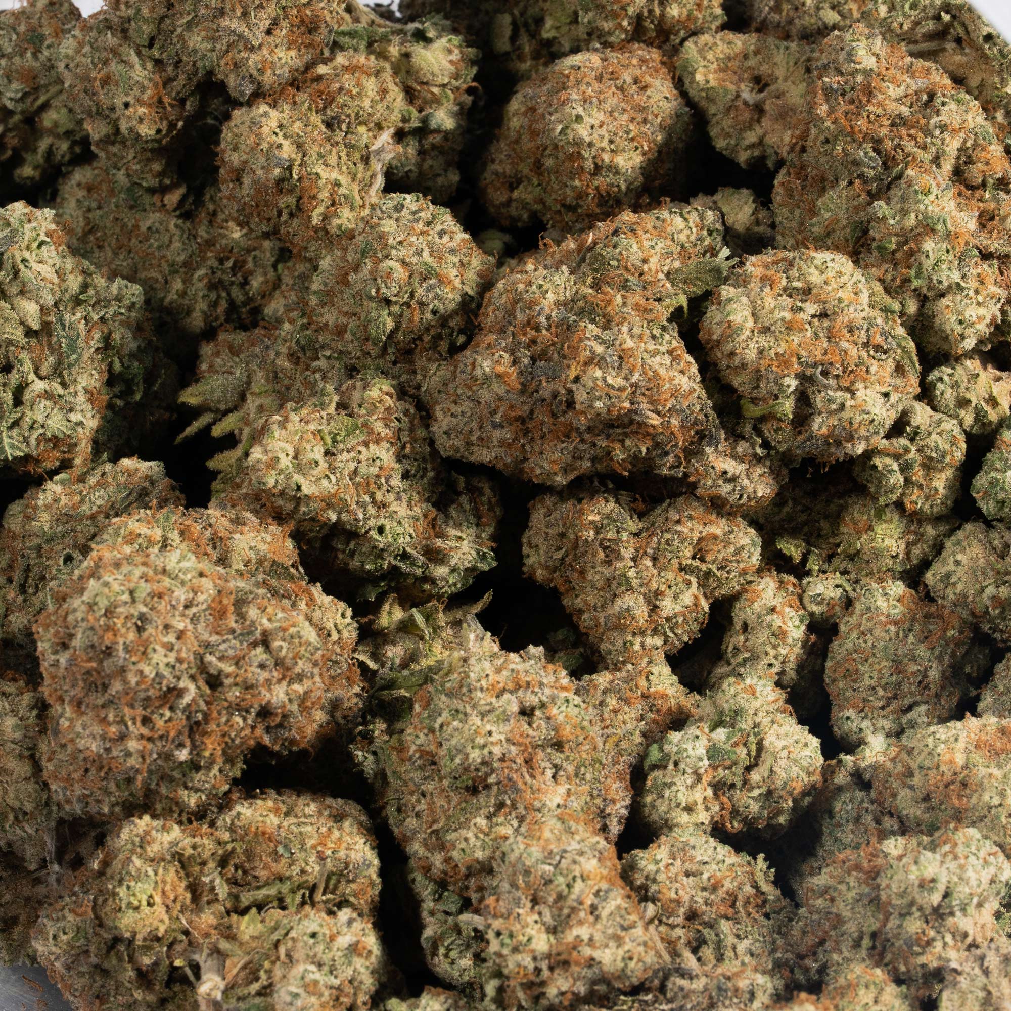 Tahoe OG (AAA) - Image 4