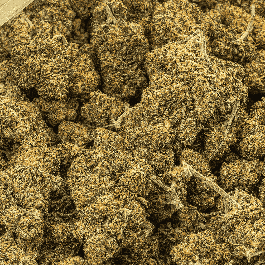 Blackout OG (AA+) - Image 4