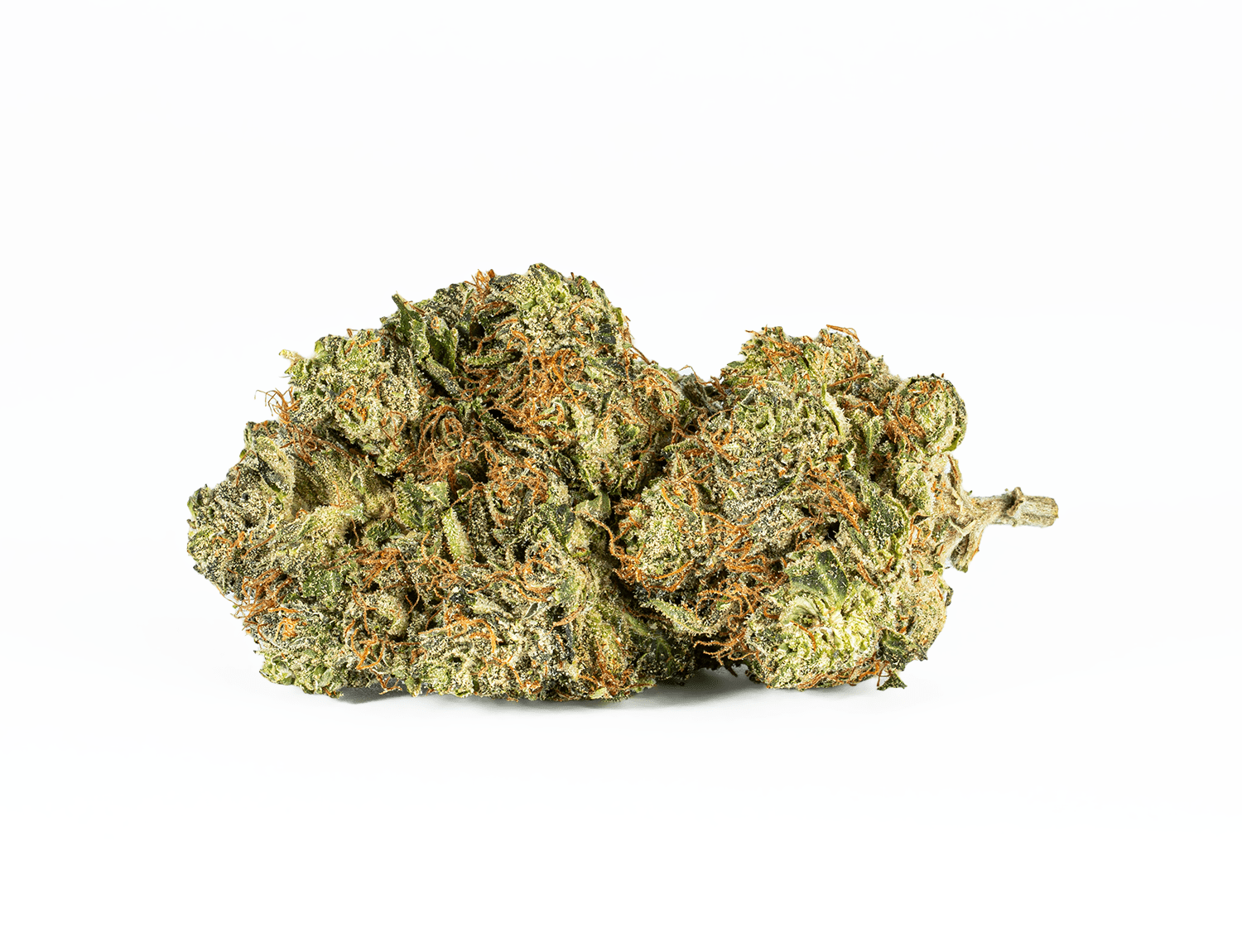 El Jefe (AAA)