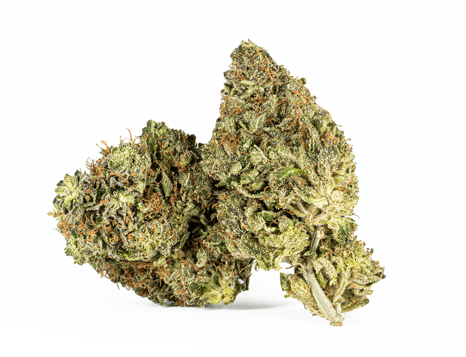 El Jefe (AAA) - Image 2