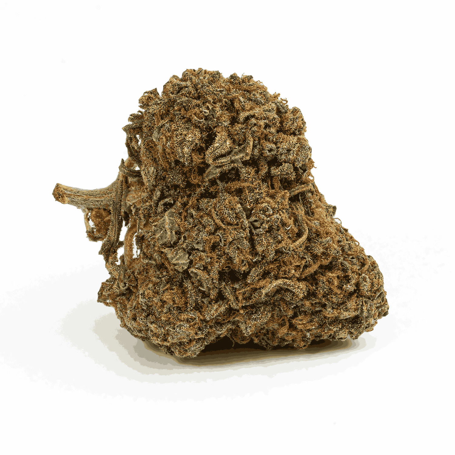 Guava Bomba (AA) - Image 3