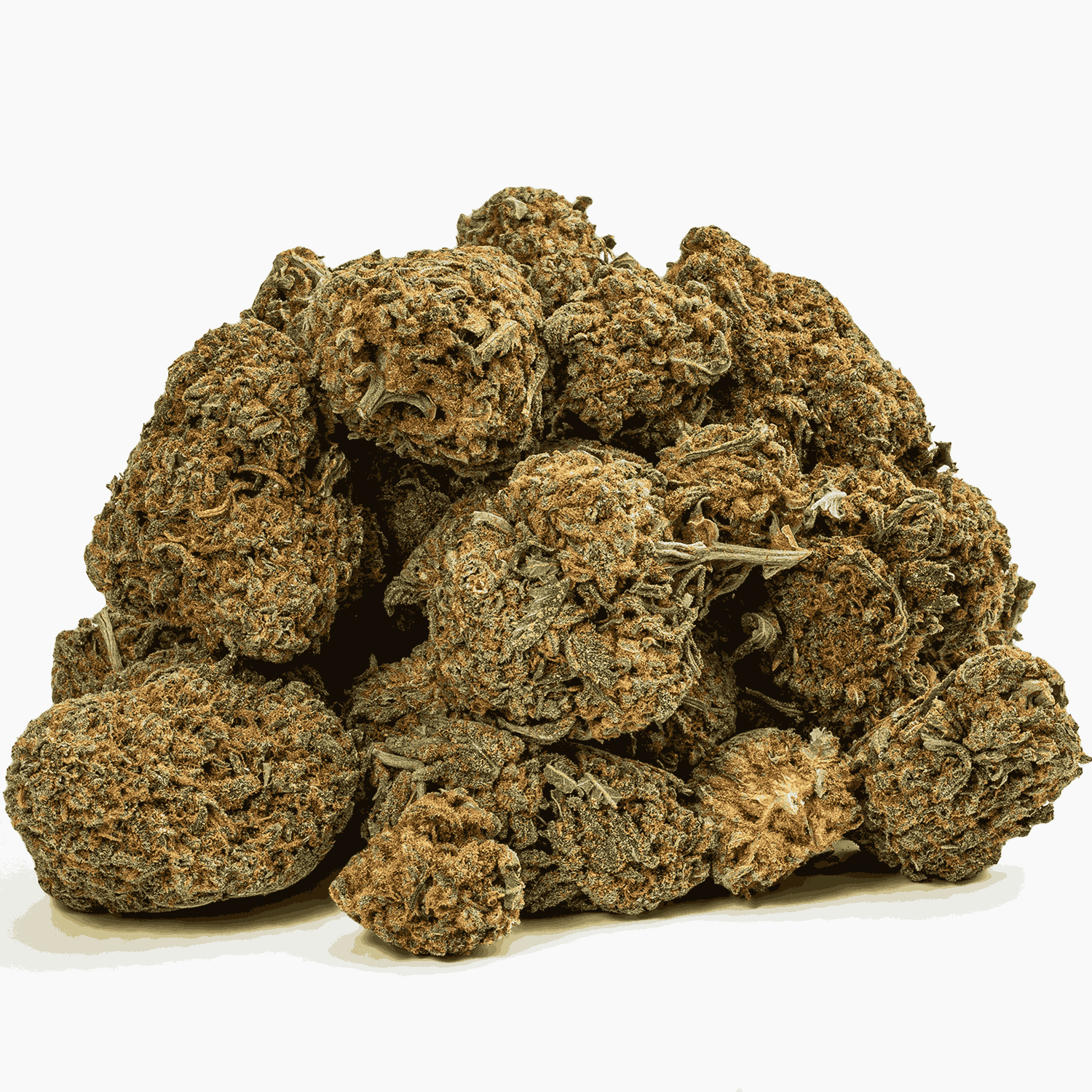 Guava Bomba (AA) - Image 4