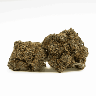 Milk Bone (AA)