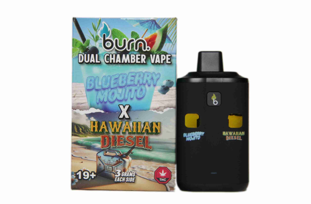 Burn Dual Vape (6g) - Blueberry Cheese + AMG