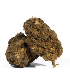 Super Boof (AA) Promo