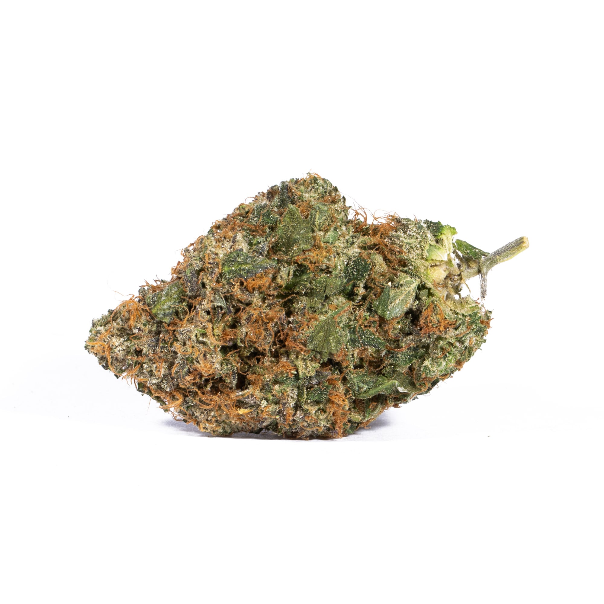 Pink Gorilla (AAA+) Promo - Image 5