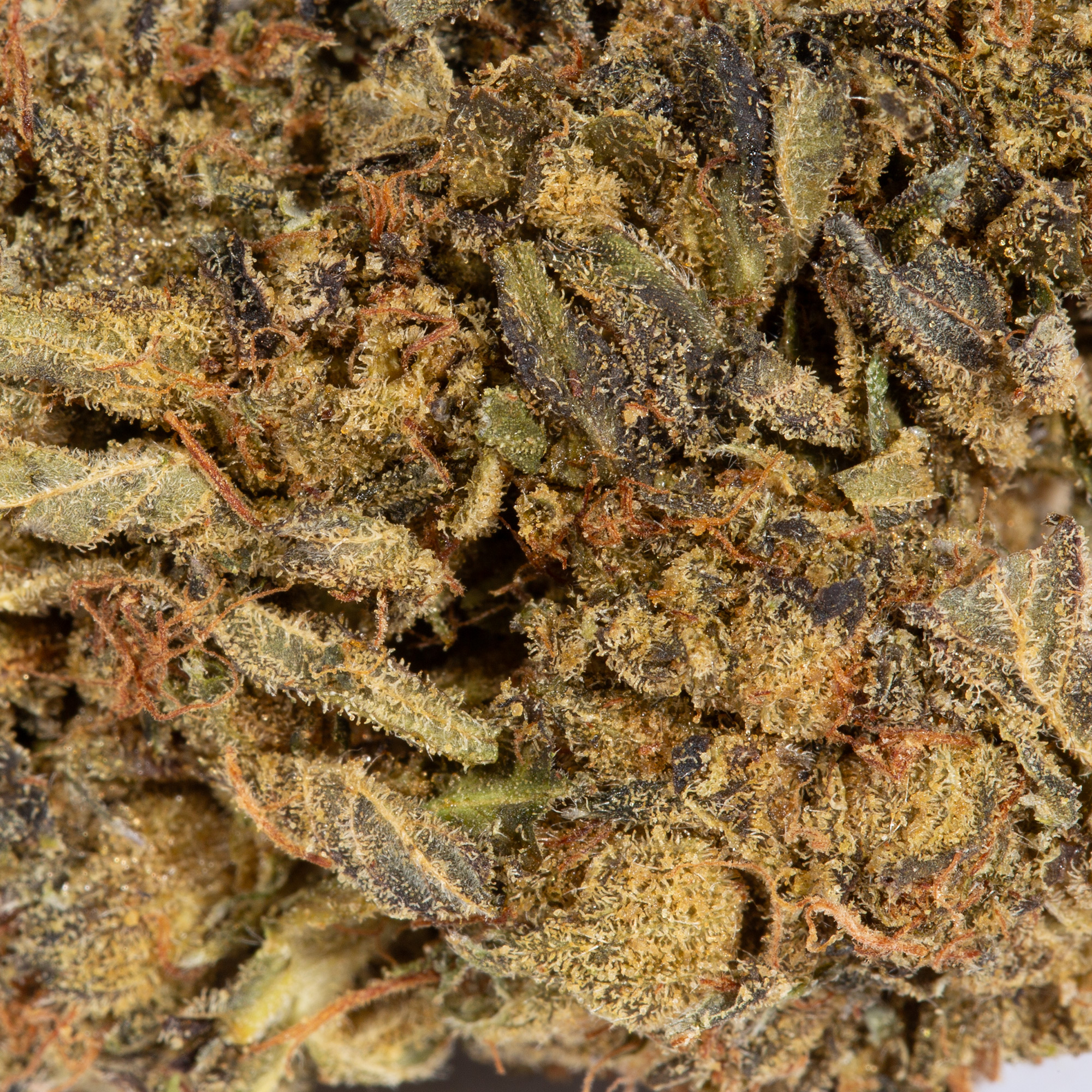 Green Crack (AA) - Image 4