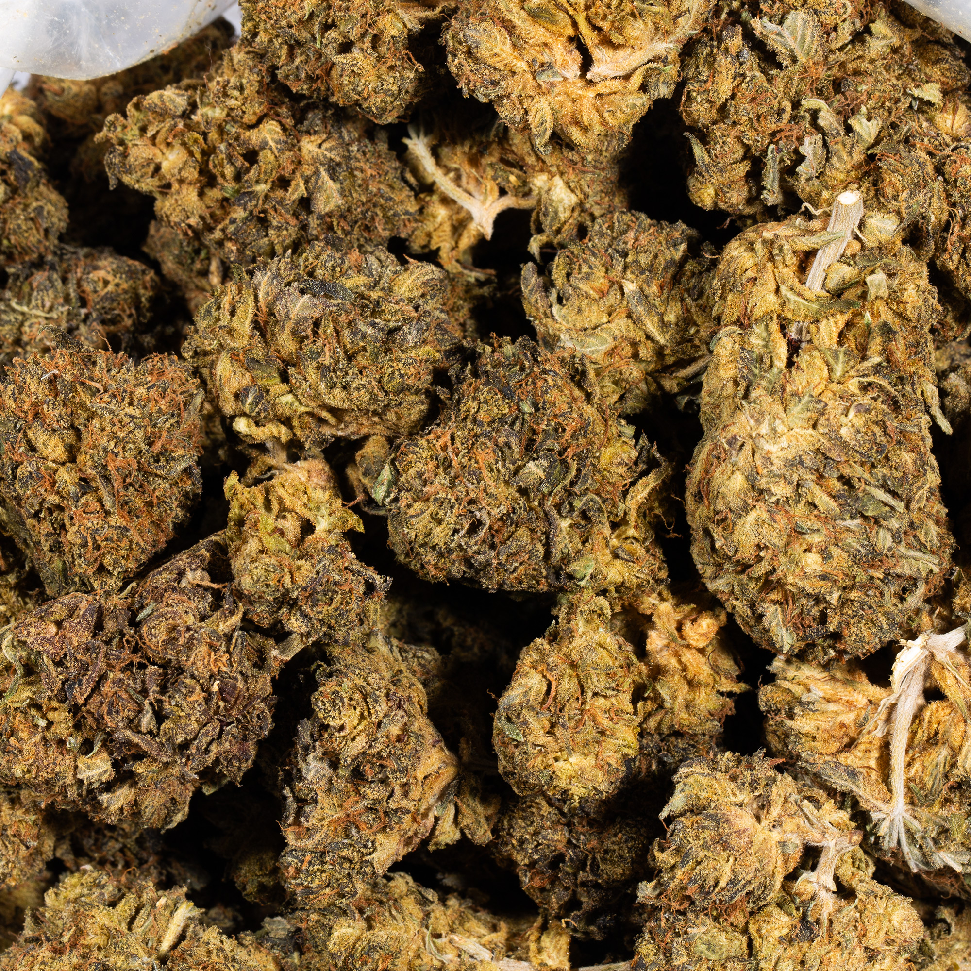 Green Crack (AA) - Image 5