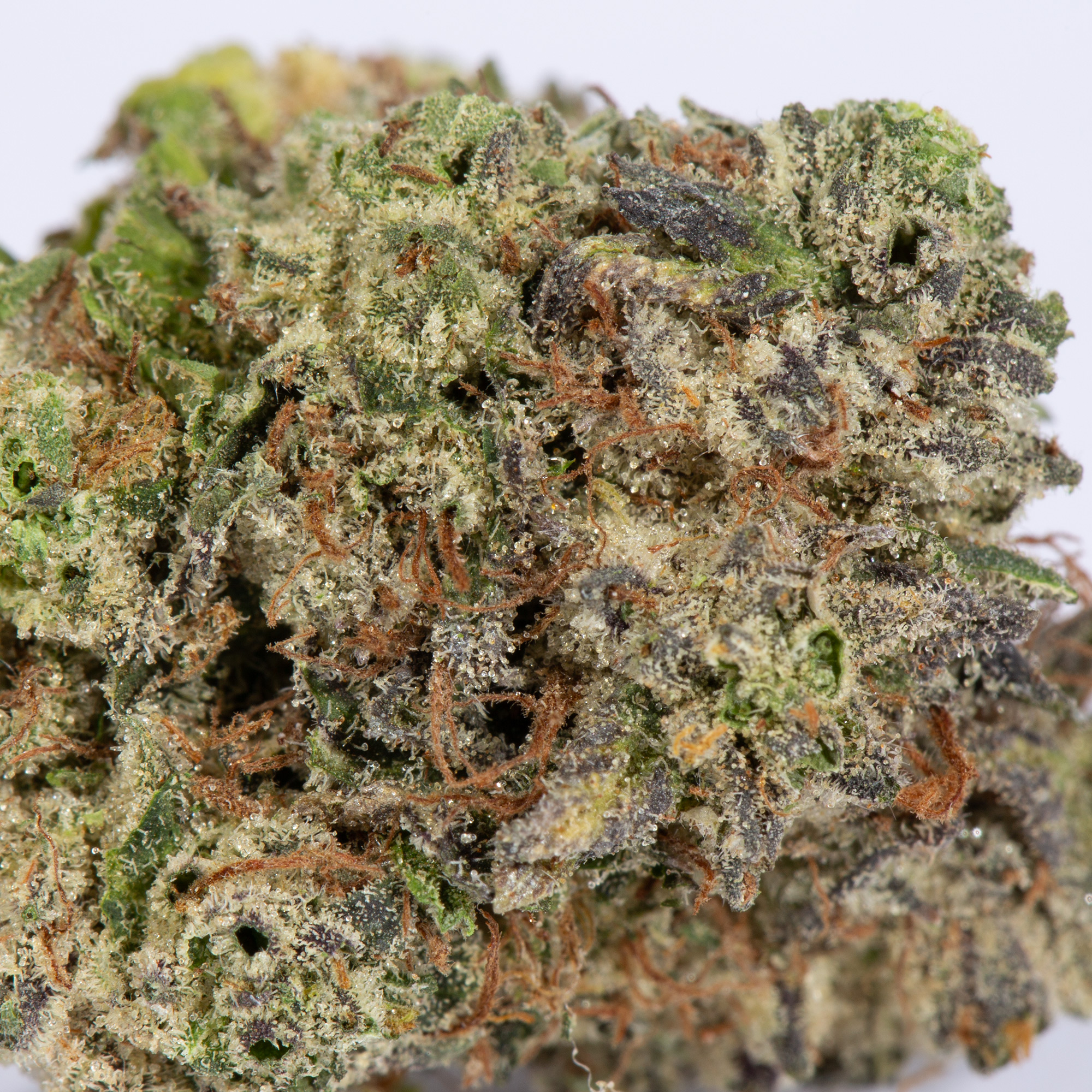 MK Ultra Smalls (AAA+) - Image 3