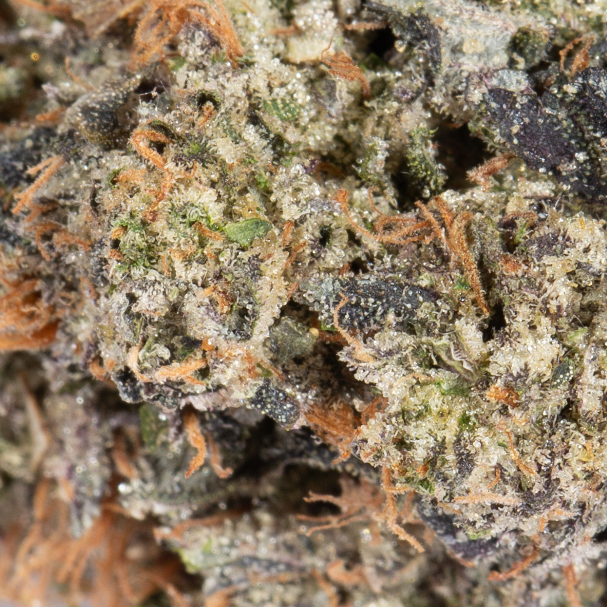 Pinkman Goo (AAAA) - Image 4
