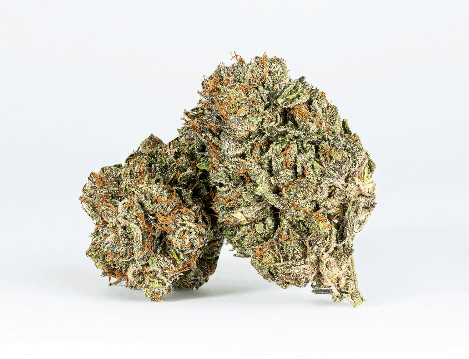 Double Purple Afgooey (AAA+)