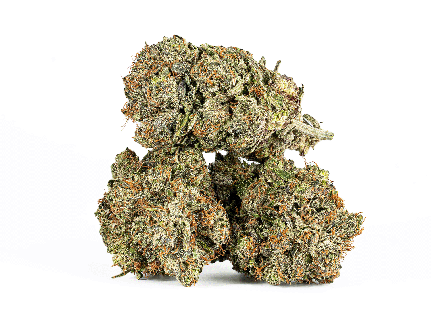 Double Purple Afgooey (AAA+) - Image 2
