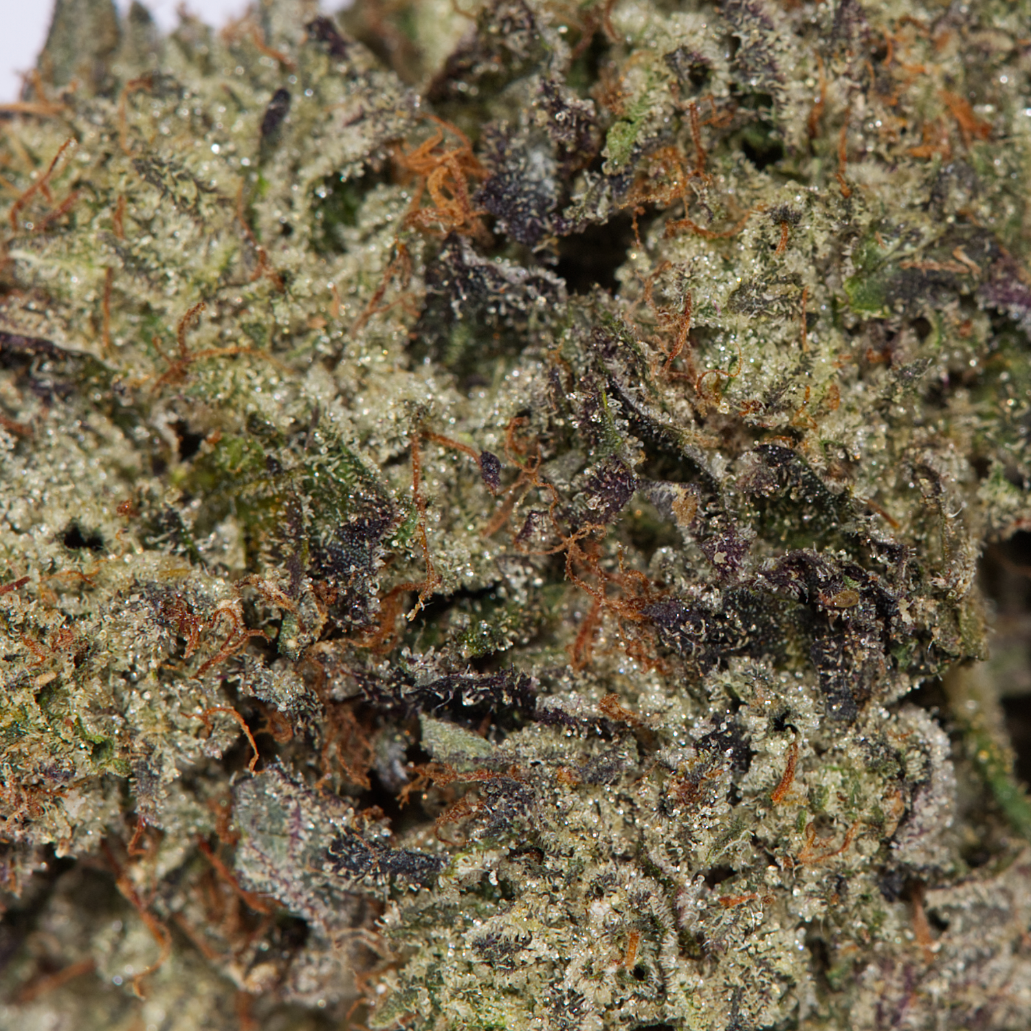 Cali Bubba (AAAA) - Image 4